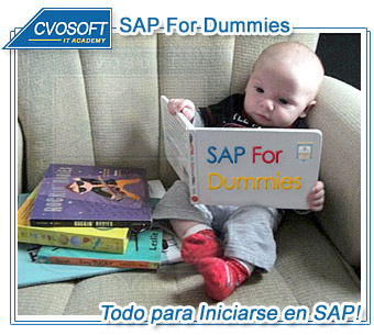 TODO para iniciarte en SAP!