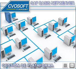 Carrera Adminstrador SAP Netweaver - SAP BASIS - SAP AS NETWEAVER