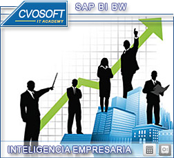 Carrera en SAP Business Intelligence - SAP BI / BW BO