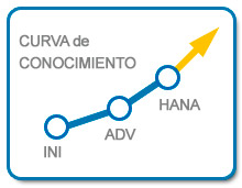 Curva de Conocimiento del Plan Carrera Consultor SAP SENIOR