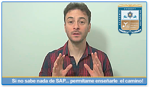 Curso SAP Introductorio