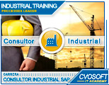 Conozca la Carrera Consultor Industrial SAP