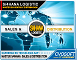 Conozca el Master S/4HANA Sales and Distribution
