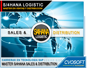 Master en SAP S/4HANA Sales and Distribution