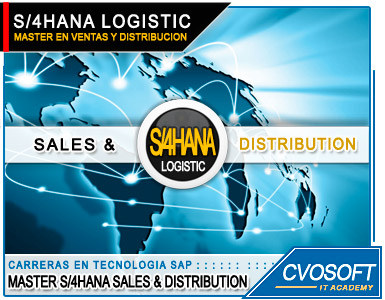 Master S/4HANA LOGISTIC Sales and Distribution