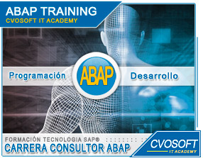 Conozca nuestra Carrera Consultor ABAP