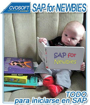 SAP for Newbies - ¡TODO! Para Iniciarse en SAP