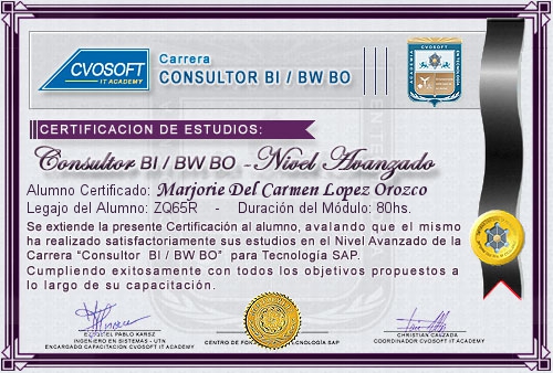 Certificación de estudios en Consultor BI / BW BO Nivel Avanzado