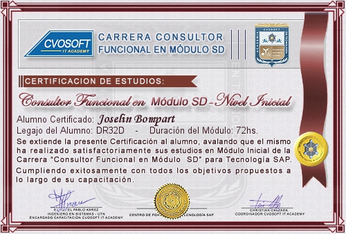 Certificacin de estudios en Consultor en SAP SD Nivel Inicial