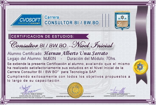 Certificacin de estudios en Consultor en SAP BI / BW BO Nivel Inicial