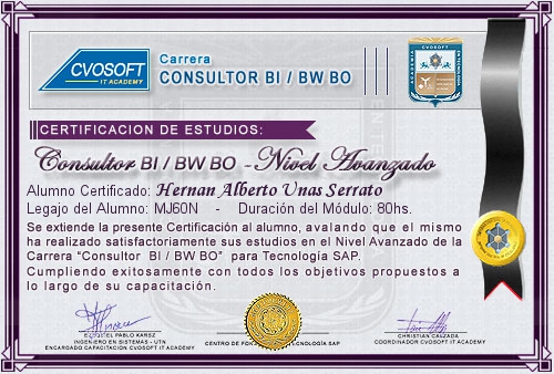 Certificacin de estudios en Consultor en SAP BI / BW BO Nivel Avanzado