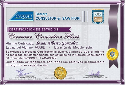 Certificacin de estudios en Consultor en SAP Fiori
