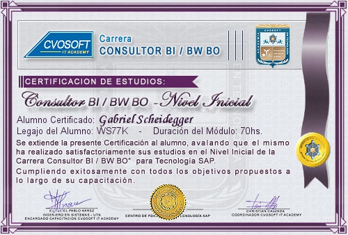 Certificacin de estudios en Consultor en SAP BI / BW BO Nivel Inicial