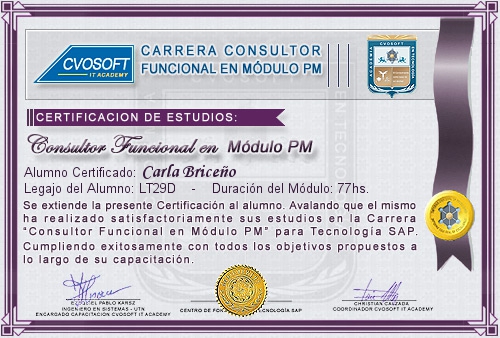 Certificacin de estudios en Consultor en SAP PM