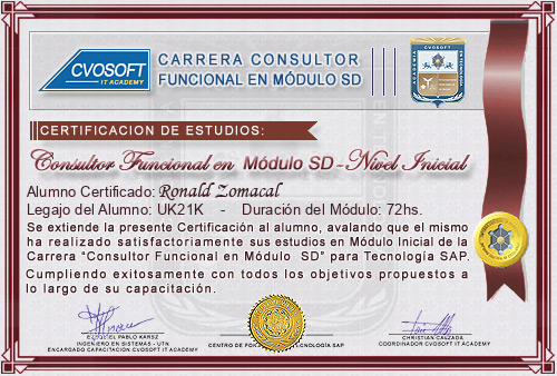 Certificacin de estudios en Consultor en SAP SD Nivel Inicial