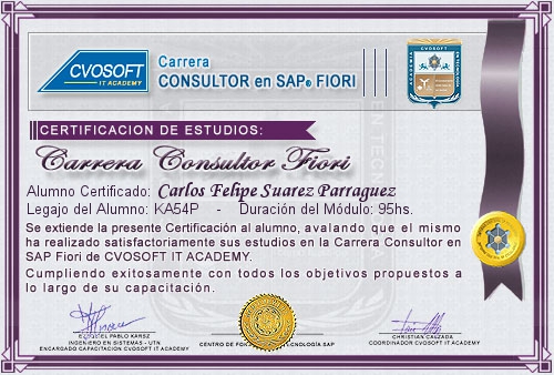 Certificacin de estudios en Consultor en SAP Fiori