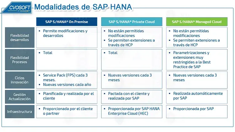 SAP HANA - Tipos de Modalidades en su Implementación