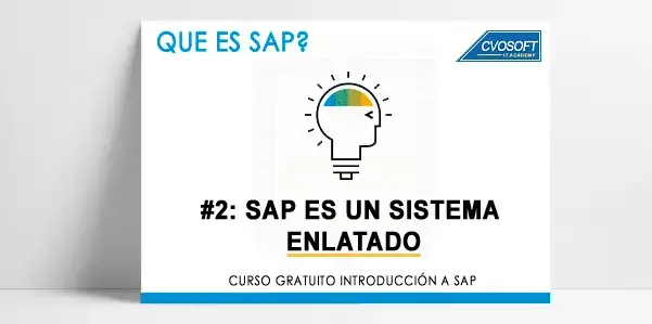 SAP es un sistema un sistema ENLATADO